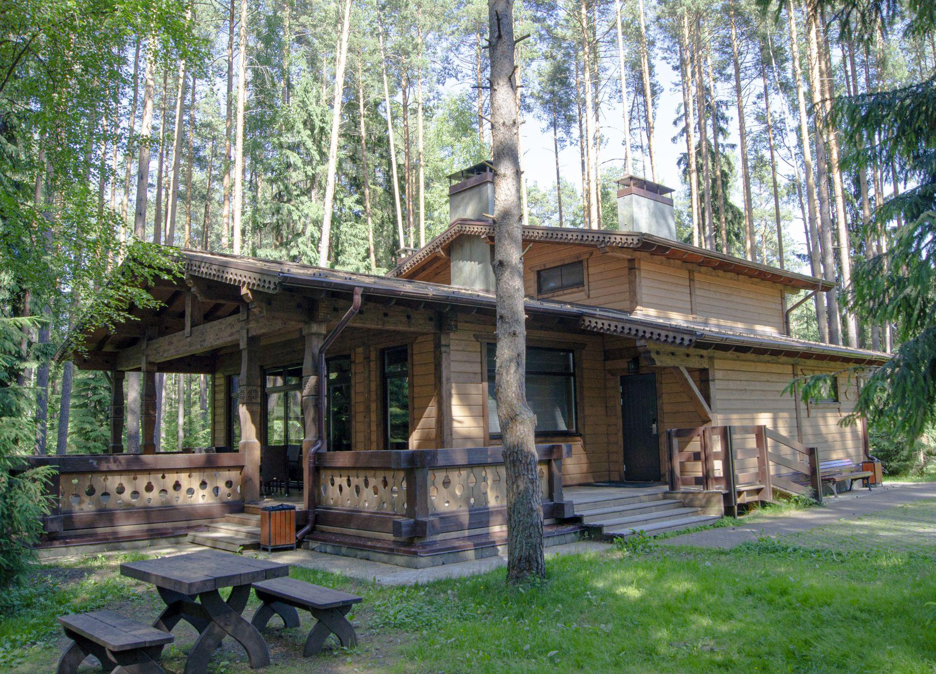 Timber residence in pine forest